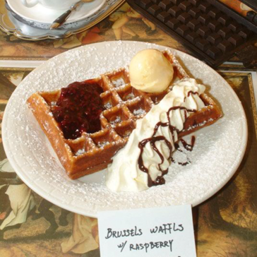 Waffles with ice cream scoop